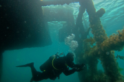 Caso Sofía Devries: El lunes será la audiencia de apertura de investigación por homicidio culposo contra el instructor de buceo