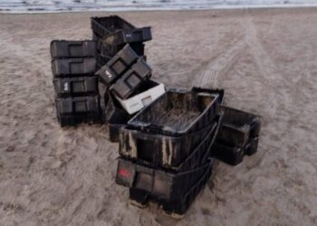 Retiraron 750 cajones pesqueros de las playas céntricas de Puerto Madryn