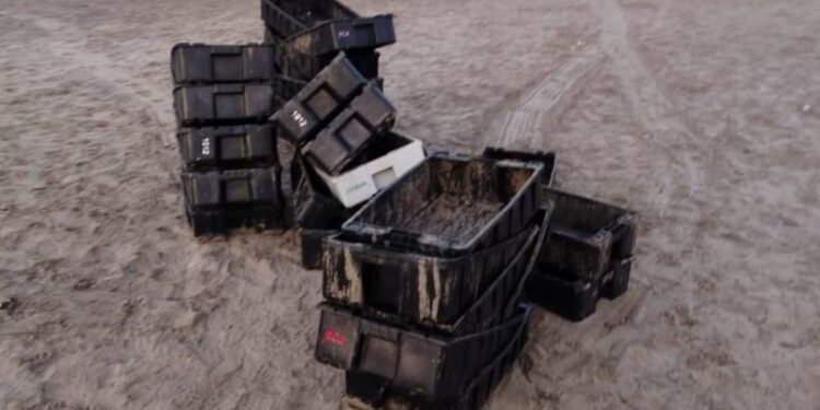 Retiraron 750 cajones pesqueros de las playas céntricas de Puerto Madryn
