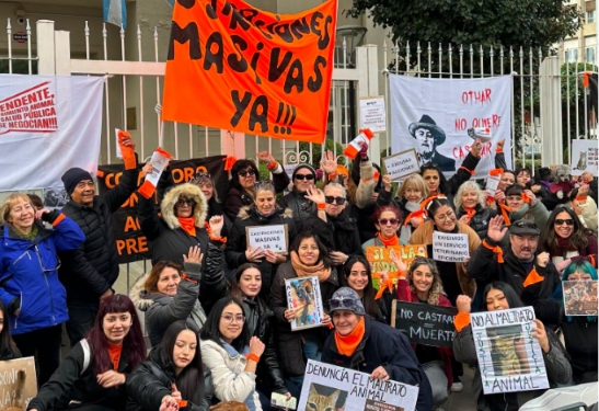 Vecinos y proteccionistas reclaman castraciones masivas en Comodoro