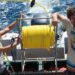 Un estudio sobre ecología marina ganó el premio Early Career Researcher Award 2025