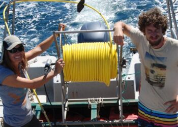Premio internacional para un estudio sobre ecología marina en Patagonia