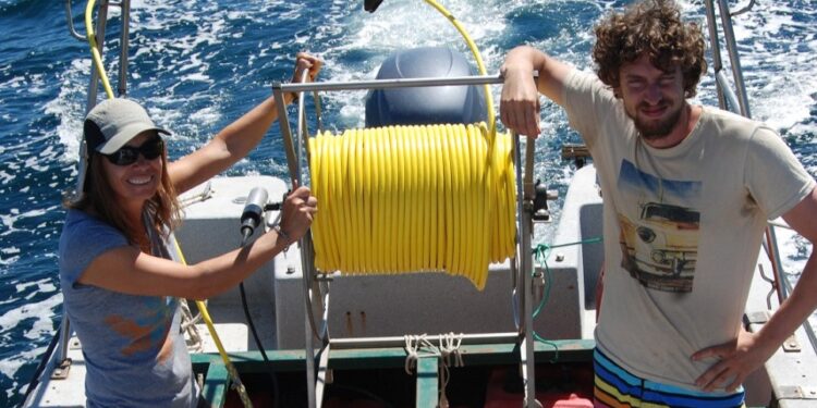 Premio internacional para un estudio sobre ecología marina en Patagonia