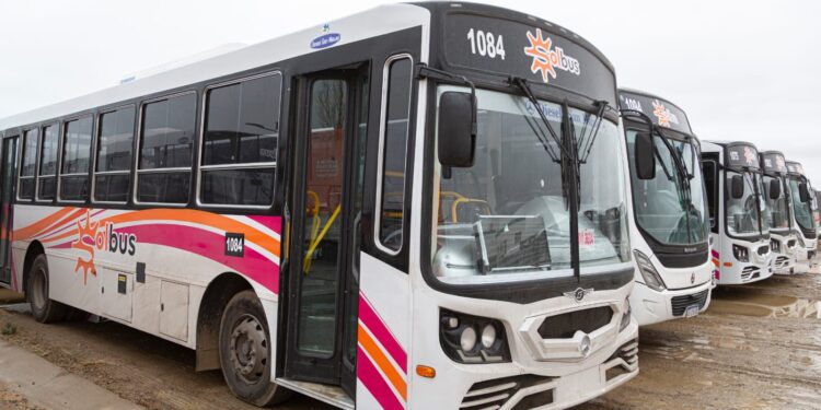Desde este sábado, Comodoro renueva su sistema de transporte urbano