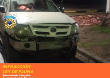 Secuestraron 27 guanacos faenados y un puma en Garayalde