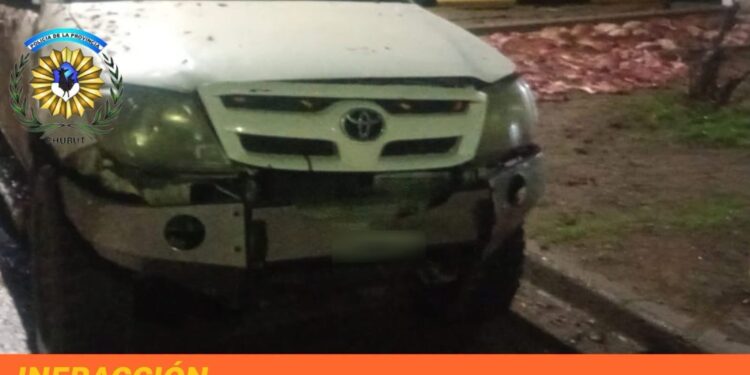 Secuestraron 27 guanacos faenados y un puma en Garayalde
