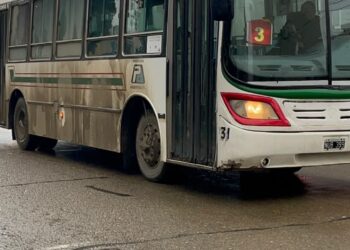 Se levantó el paro de colectivo