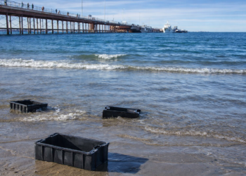 Vecinos retiraron más de 50 cajones pesqueros en Puerto Madryn