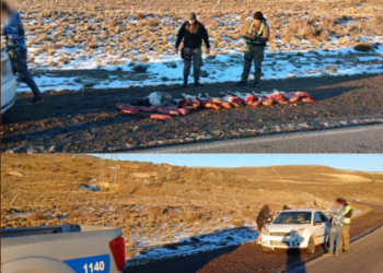 Secuestran carne de guanaco y ñandú en control rural sobre la Ruta 26