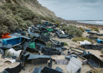 Diez toneladas de plásticos retiradas de las playas chubutenses