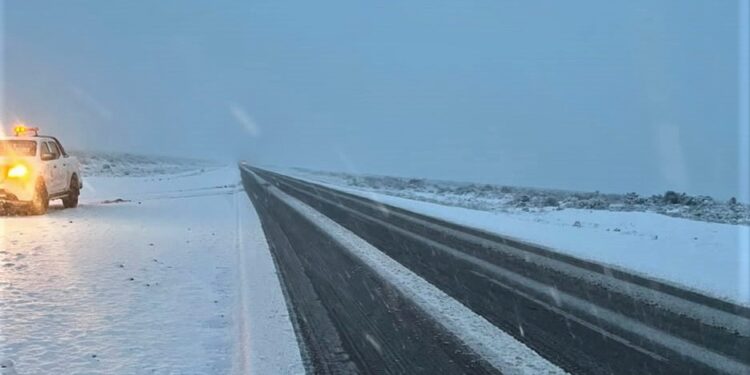 Ola polar en Chubut: cierran accesos a Península Valdés y Gobernador Costa marcó -14°C fue una de las localidades más frías
