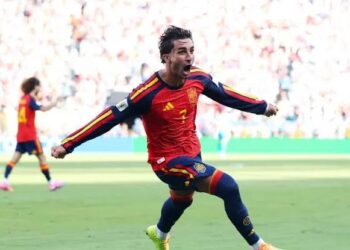 España le ganó a Argentina y es campeón del mundo