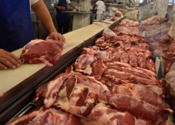  Consumo de carne vacuna en Argentina cae en primer semestre un 11,5 % interanual
