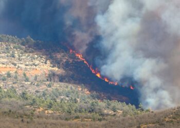 España enfrenta el mayor incendio forestal de su historia reciente