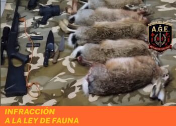 Secuestran liebres y un arma durante control rural en Trevelin