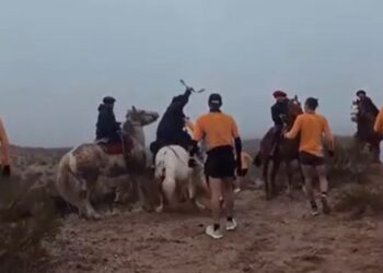 “Me tiró el caballo encima”: el relato de un runner agredido durante una competencia