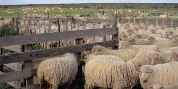 La Federación de Sociedades Rurales se cansó de la falta de respuestas del gobierno provincial