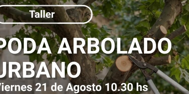 Inscriben para el Taller de Poda de Arbolado Urbano en Comodoro Rivadavia