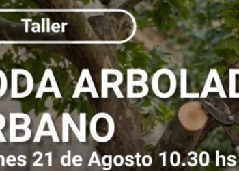 Inscriben para el Taller de Poda de Arbolado Urbano en Comodoro Rivadavia