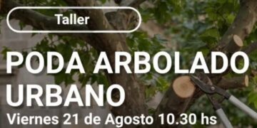 Inscriben para el Taller de Poda de Arbolado Urbano en Comodoro Rivadavia