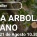 Inscriben para el Taller de Poda de Arbolado Urbano en Comodoro Rivadavia