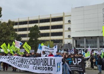En reclamaron por presupuesto y salarios en la UNPSJB