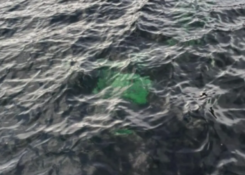 Hallaron una camioneta hundida en el Lago La Plata