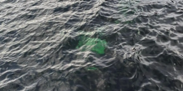 Hallaron una camioneta hundida en el Lago La Plata