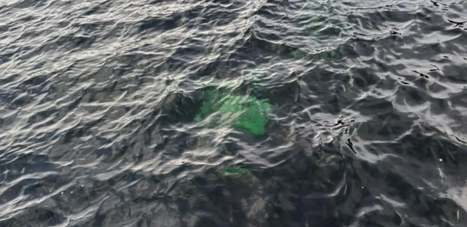 Hallaron una camioneta hundida en el Lago La Plata