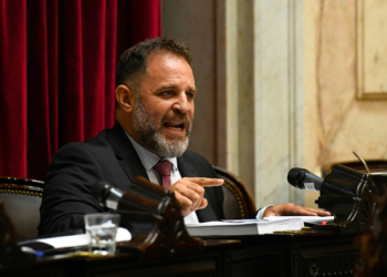 Glinski pidió informes sobre los emprendimientos con IA en Chubut