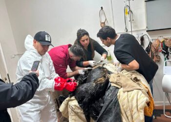 Comodoro Conciencia Activa anunció acciones legales tras acusaciones en redes sociales