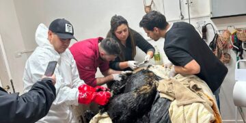 Comodoro Conciencia Activa anunció acciones legales tras acusaciones en redes sociales