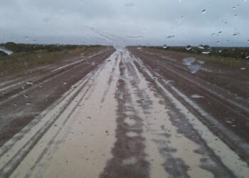 Las rutas en Chubut están habilitadas pero con precaución por lluvias, barro y animales sueltos