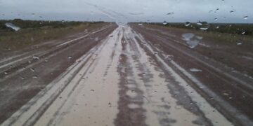 Las rutas en Chubut están habilitadas pero con precaución por lluvias, barro y animales sueltos