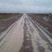 Las rutas en Chubut están habilitadas pero con precaución por lluvias, barro y animales sueltos