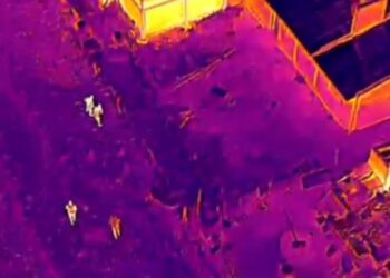 Dron térmico permitió frustrar intento de abigeato en Ruta 7