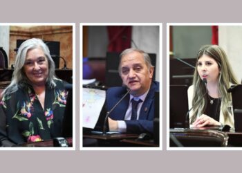 Cómo votaron los senadores por Chubut