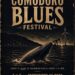 Quinta edición de Blues en el sur