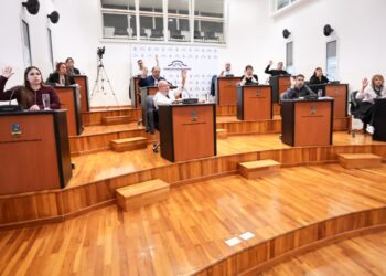 El Concejo interpelará a Ostoich