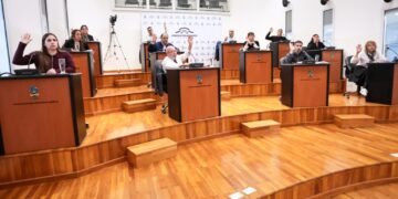 El Concejo interpelará a Ostoich