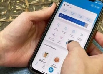 Luque y diputados del Peronismo Federal pidieron investigar a billeteras virtual y financieras