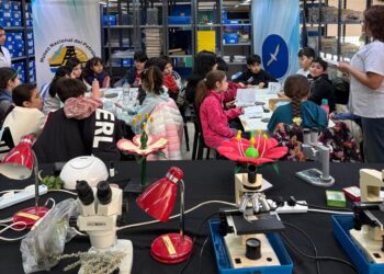 Entre fósiles, plantas y juegos, los chicos fueron Guardianes de la Estepa