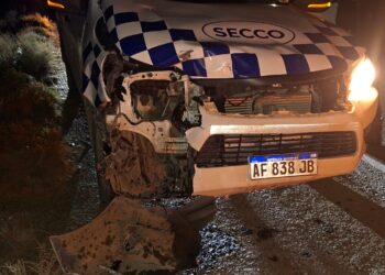 Camioneta chocó contra un potrillo en Diadema Argentina, Ruta 39