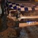 Camioneta chocó contra un potrillo en Diadema Argentina, Ruta 39