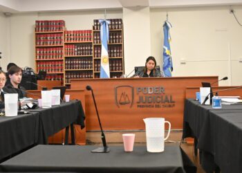 Juicio en Rawson: el acusado de envenenar a tres perros negó los cargos y habló por primera vez
