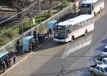 Transporte en Comodoro: anuncian cambios en recorridos, paradas y frecuencias desde septiembre