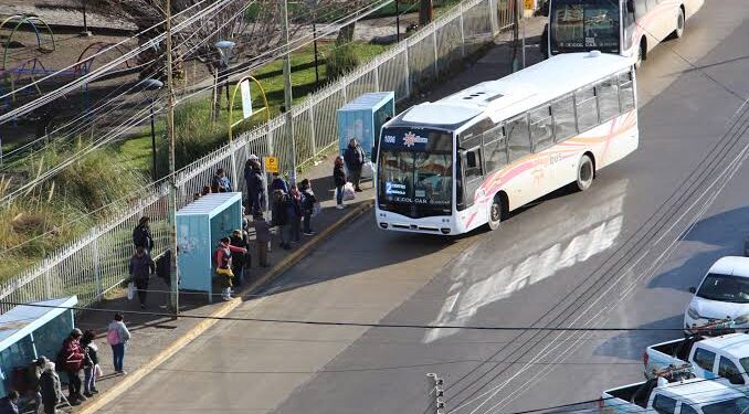 Transporte en Comodoro: anuncian cambios en recorridos, paradas y frecuencias desde septiembre