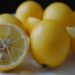 Semillas de limón como recurso natural para tus plantas