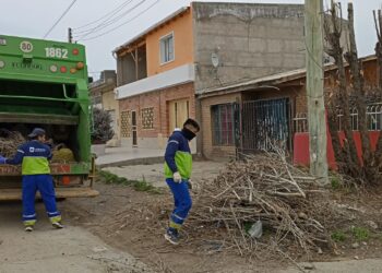 El Municipio avanza en el programa “Barrio limpio” de retiro de residuos y restos de poda