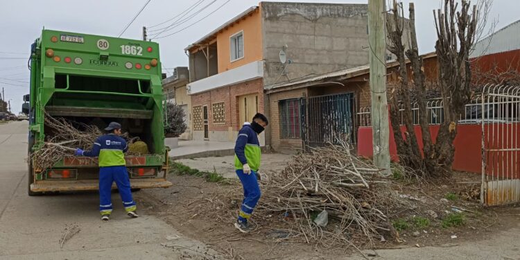 El Municipio avanza en el programa “Barrio limpio” de retiro de residuos y restos de poda
